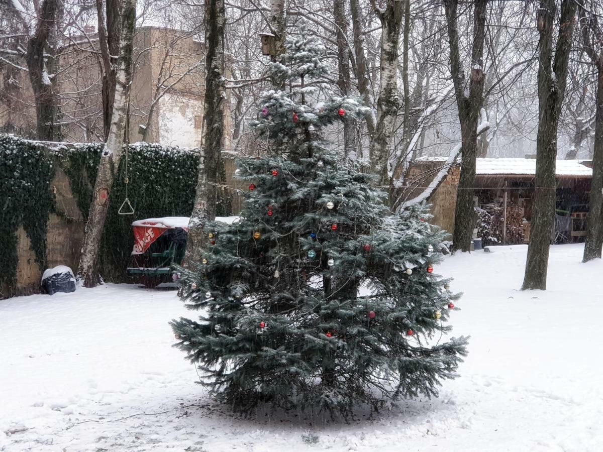 Apartament Liepu 37 Kłajpeda Pokój zdjęcie